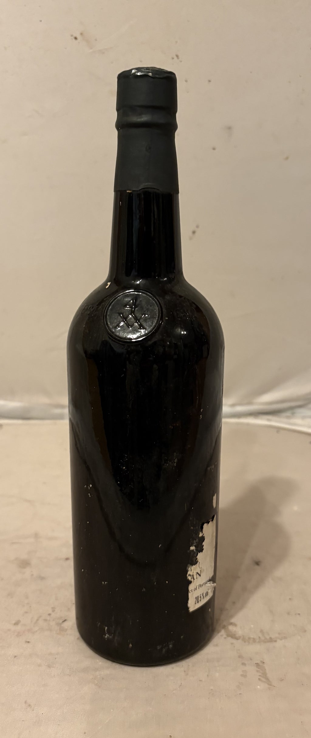 1983 Taylor